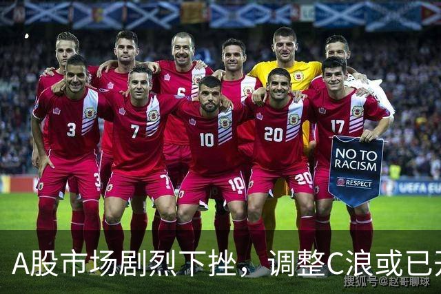A股市场剧烈下挫，调整C浪或已开启